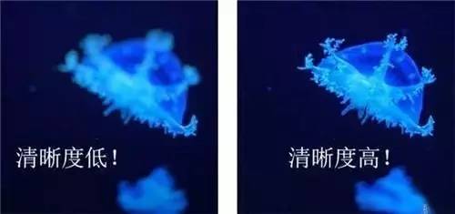 各款耳机舒适测评,大牌耳机上手实测