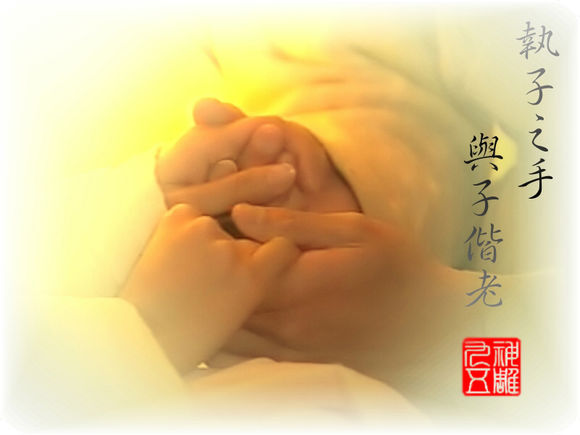 电脑里存了很久的东西，那些用情至深的人儿谁让你柔肠寸断