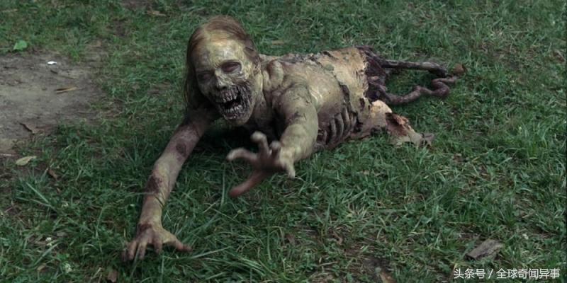 丧尸大电影都有哪些,关于丧尸的电影都有哪些