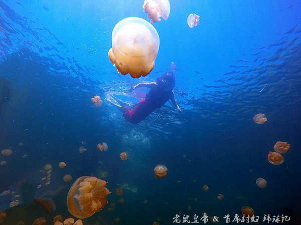 帕劳世界七大海底奇观,帕劳夕阳奇观图片