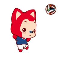 河南足球赛事新闻,河南足球今日比分结果