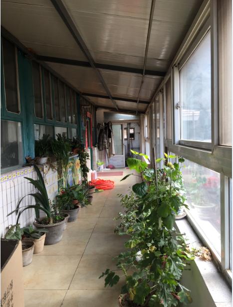 北京民宿小院整租,租北京小院