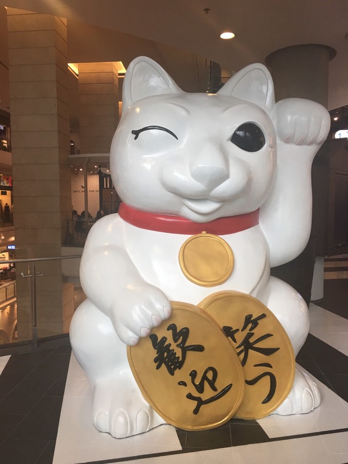 遇见最好的自己的感悟,曼谷普吉岛之旅