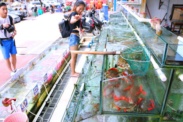 三亚最美的地方在哪里,三亚世界上最美的海在哪里