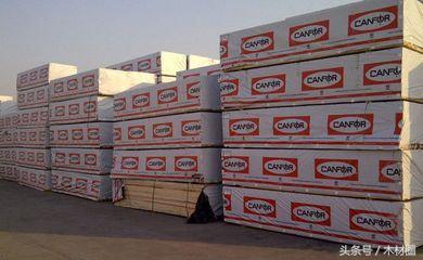 美加锯材纠纷,将会直接影响加拿大的出口价格