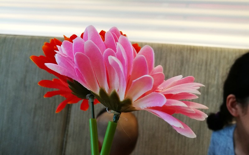 1599元荣耀畅玩40plus,699元的荣耀畅玩8c