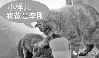 乘坐私人的飞机直升机需要多少钱,坐飞机国外托运奶粉