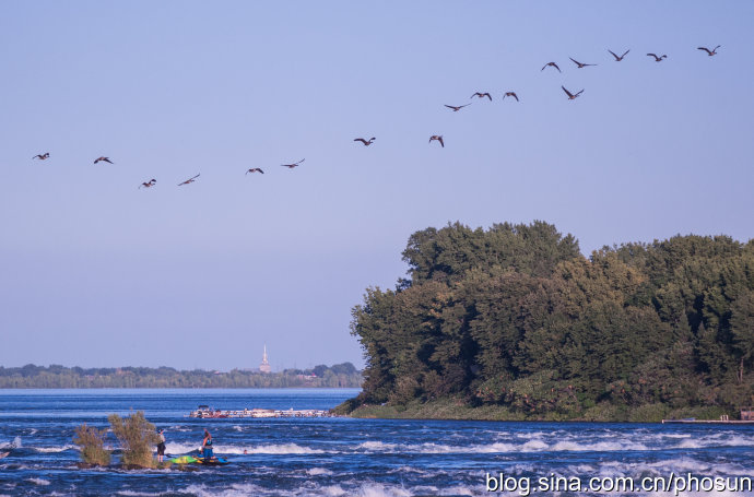 加拿大大雁泛滥成灾 (人类与大雁和谐共处视频)