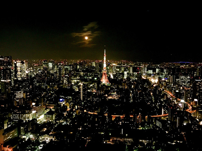 初秋日本快步东京，慢行北海道，泡汤美食8日