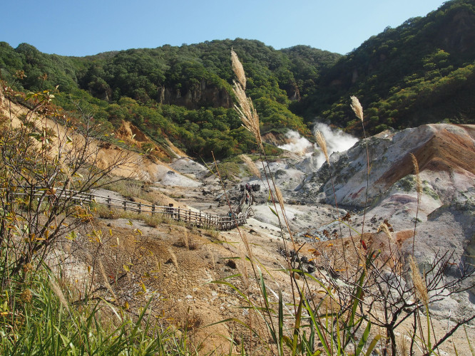 初秋日本快步东京，慢行北海道，泡汤美食8日