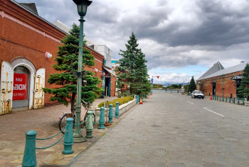 初秋日本快步东京，慢行北海道，泡汤美食8日