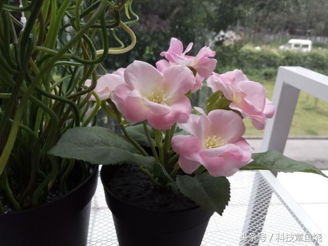 4300毫安续航测试,华为畅享6像素怎么样