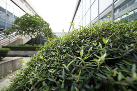 佳能16-35mmF2.8III镜头评测：9年换代值得等