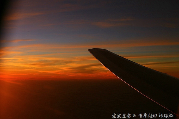 太平洋小小岛国帕劳貌似已被中国人全面占领