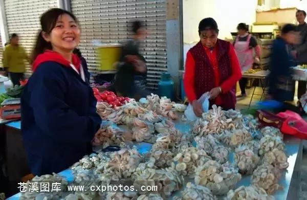 东溪古镇街景,苍溪县古镇全景图