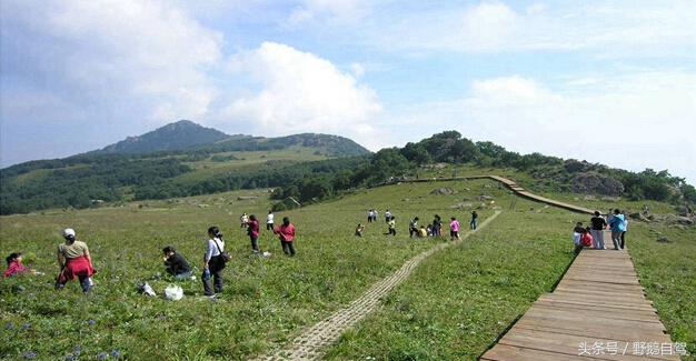 门头沟古村野鹅自驾,什么是野鹅自驾