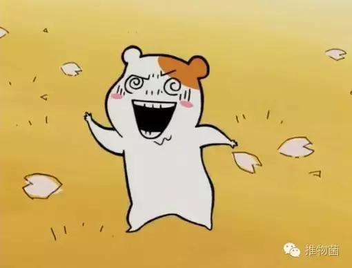 双11美妆优惠,双11美妆剁手