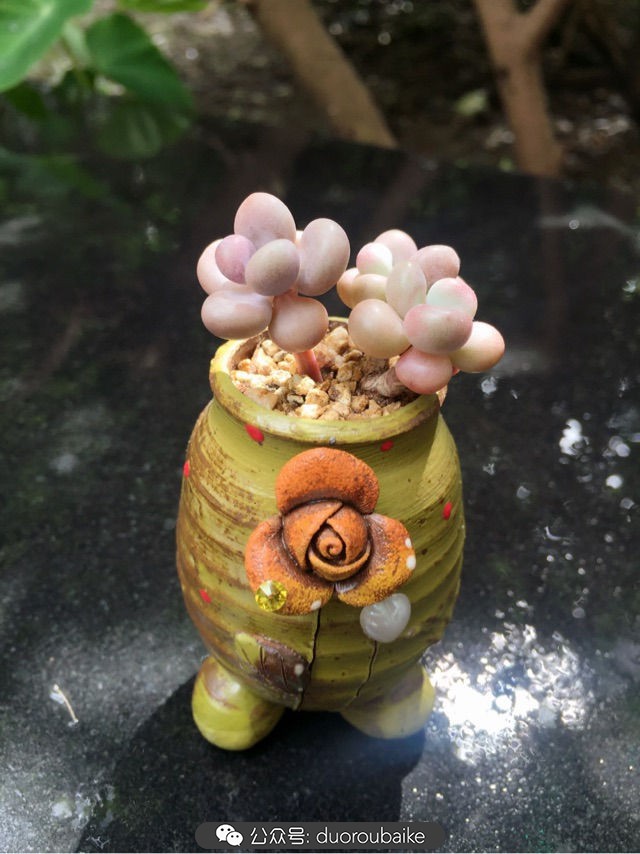 谈谈我对自己的看法,谈谈我对恋爱的看法