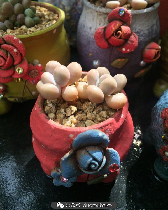 谈谈我对自己的看法,谈谈我对恋爱的看法