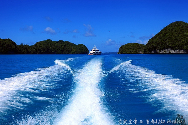 彩虹王国美术作品,彩虹王国紫色