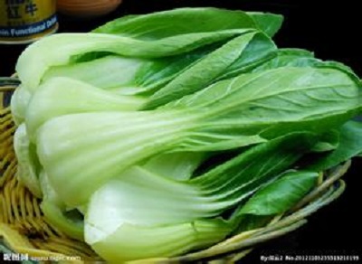 牛皮癣患者不能吃哪些蔬菜,牛皮癣适合吃哪些蔬菜