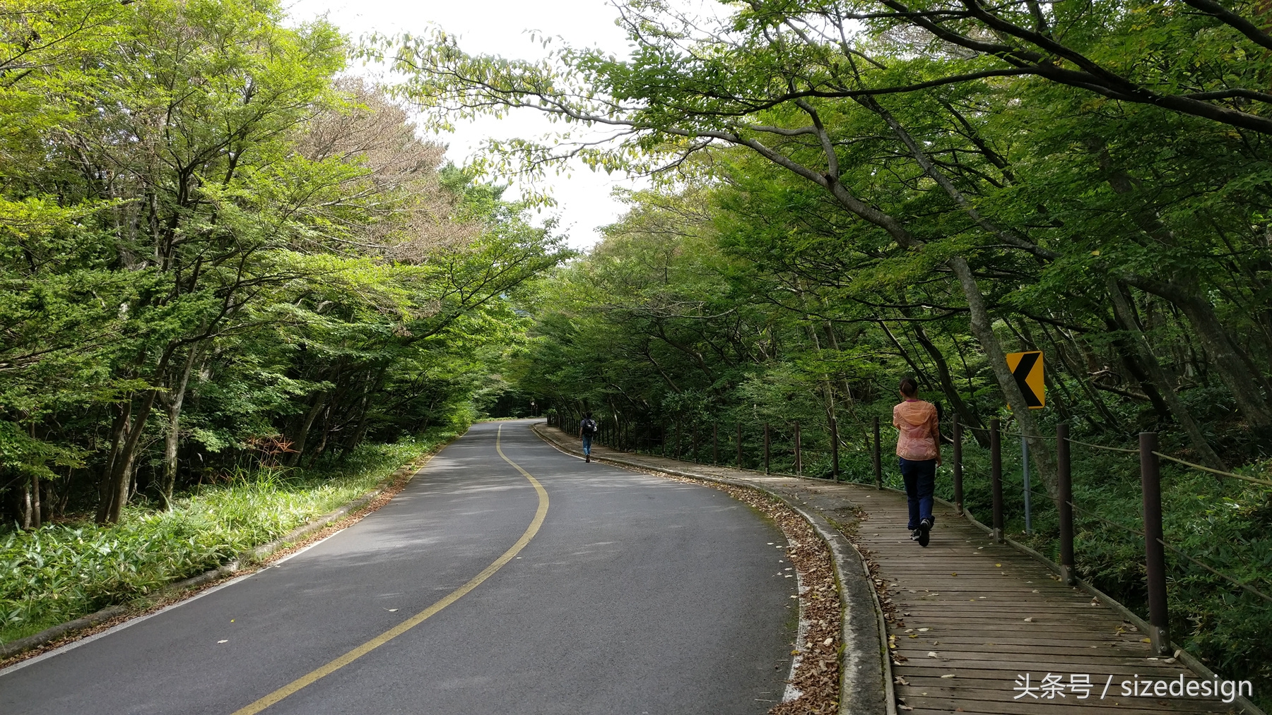 一加3最新系统介绍,一加三加五法则