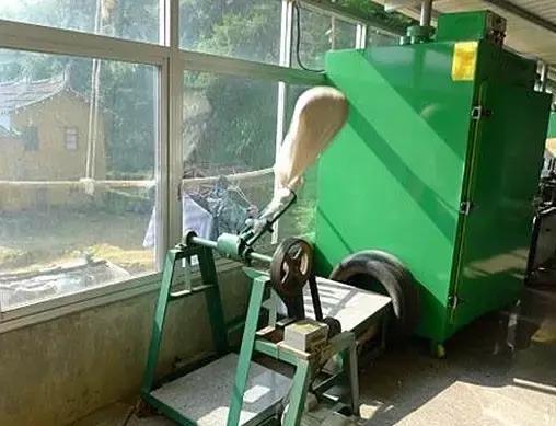 铁观音红镶边是怎么去除的,铁观音叶子为什么那么绿