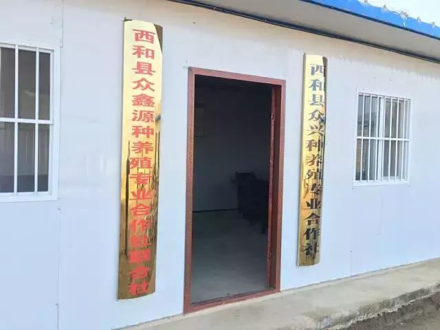 瑗垮拰鐧借妽,绉嶆鐧借妽鑷村瘜