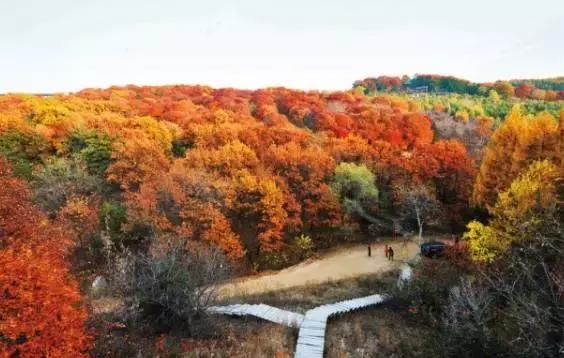 来辽源旅游,来辽源看辽河
