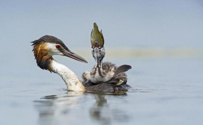 天冷了现在正是泡温泉的最佳时刻,天气逐渐变冷来泡澡