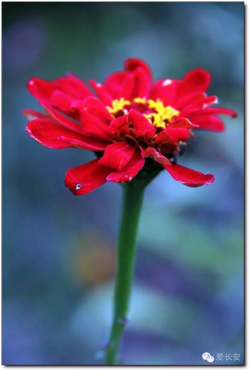 西宁南山秋景自驾游攻略一日游,旅游南山