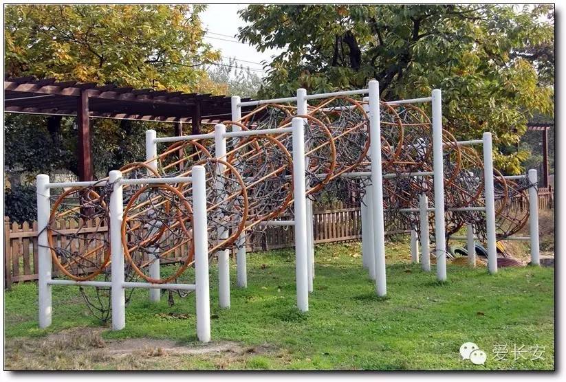 西宁南山秋景自驾游攻略一日游,旅游南山