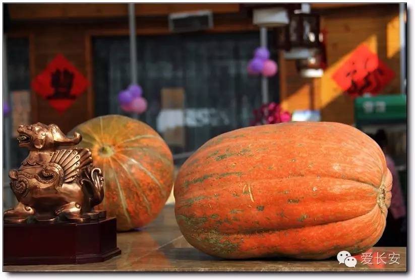 西宁南山秋景自驾游攻略一日游,旅游南山