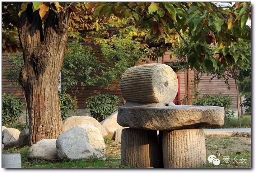 西宁南山秋景自驾游攻略一日游,旅游南山