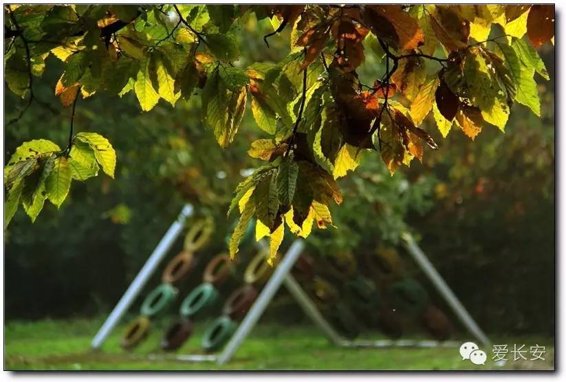 西宁南山秋景自驾游攻略一日游,旅游南山