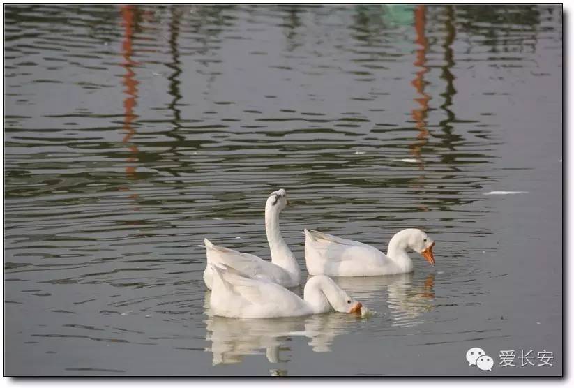 西宁南山秋景自驾游攻略一日游,旅游南山
