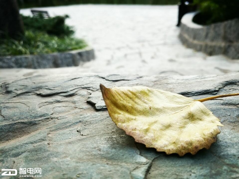 快充拍照好的手机,oppor9s拍照视频评测