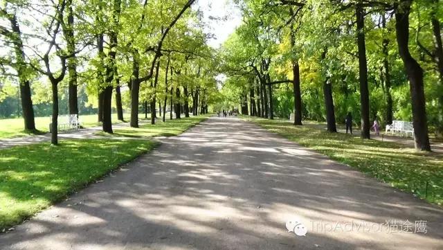 收藏打卡！深入了解战斗民族另一面的45种体验