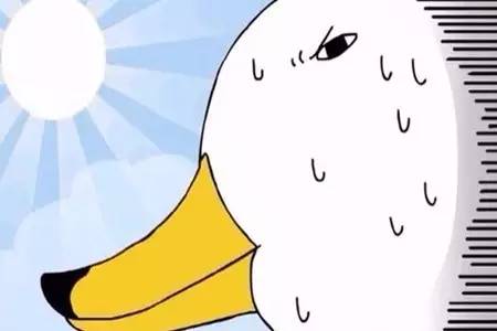 最近很火的那个微笑表情包,微笑比心表情包代表什么