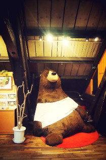 初秋日本快步东京，慢行北海道，泡汤美食8日