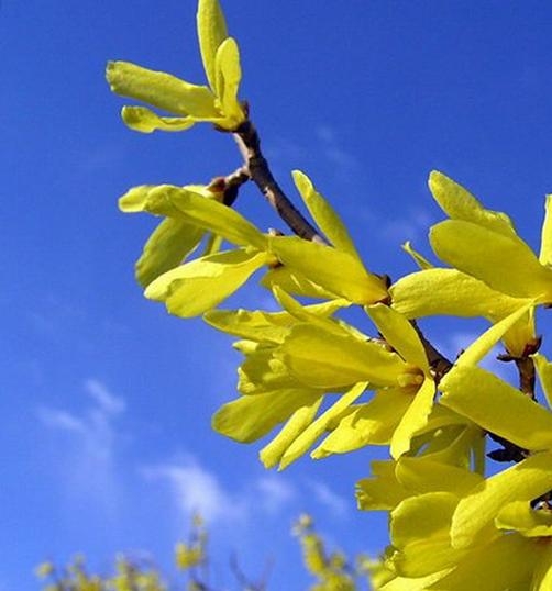 治疗脸上的痘痘最有效的办法,快速有效解决脸上痘痘的方法