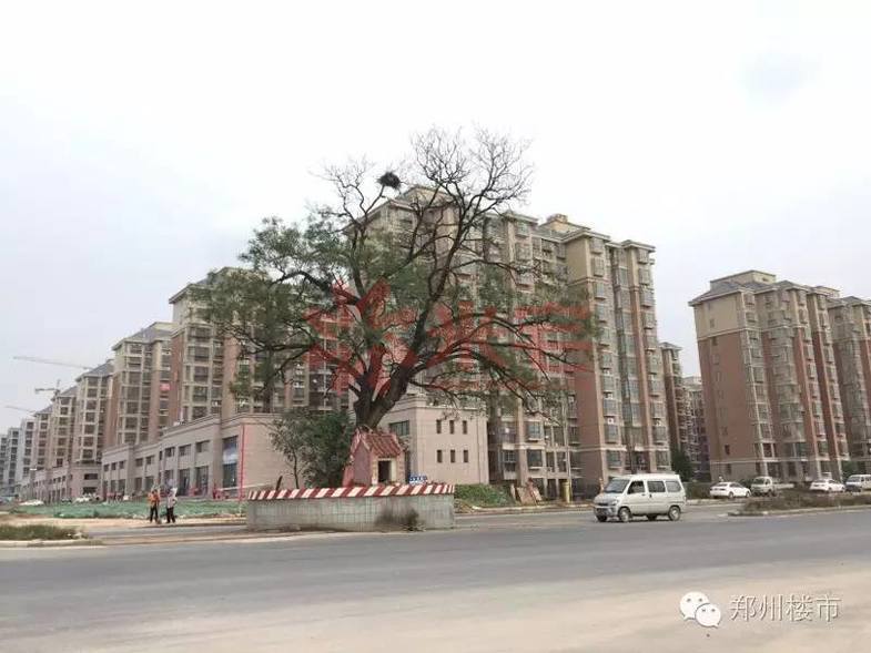 港南的理想与尴尬：探访航空港区和昌盛世城邦