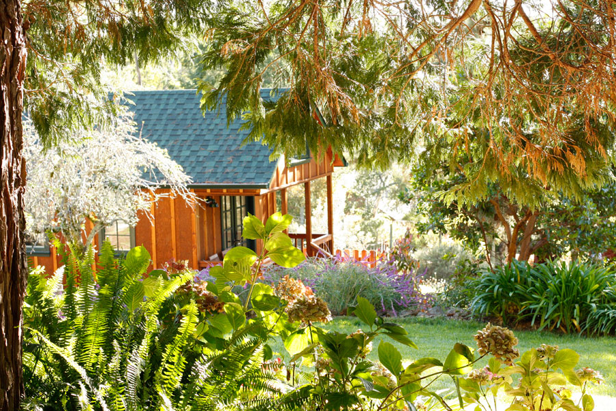 斯里兰卡客栈经营技巧,斯里兰卡客栈转让价格