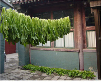 你想不想吃蛋炒饭,雪里红炒肉沫配米饭