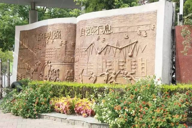 七宝中学升学政策,七宝镇教育资源