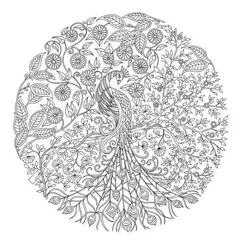 凭本264字成人图书却“莫名其妙”风靡了全球！狂销300万册