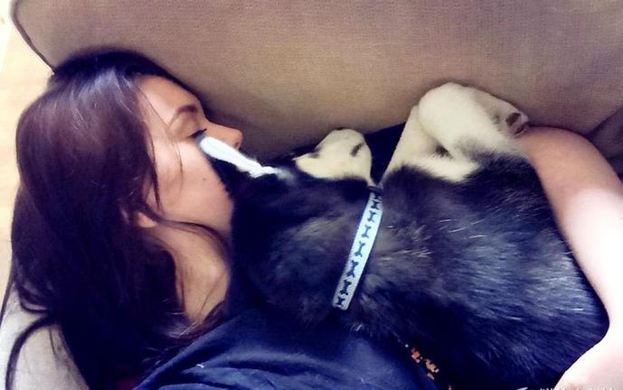 新旧“萌宠网红”哪家强？去问问那位做美甲的“腊肠”！