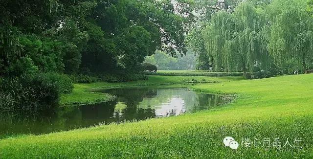 回忆杭州西湖人间仙境美如画,杭州西湖美不胜美