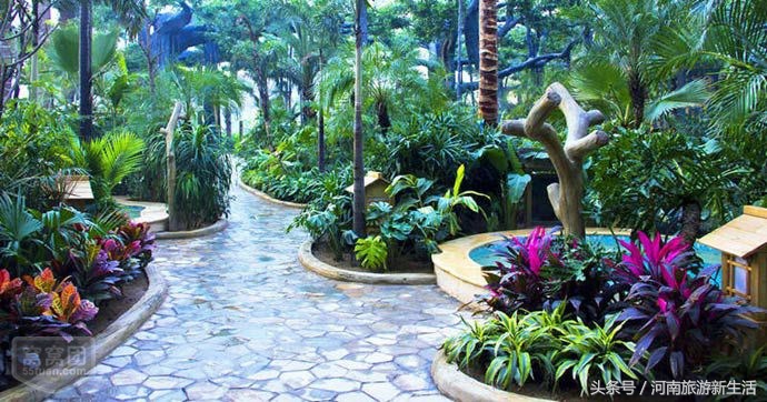 北京滑雪温泉度假村排名榜,河南温泉滑雪度假村排名榜