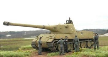 狮式重型坦克歼击车,德军狮式坦克